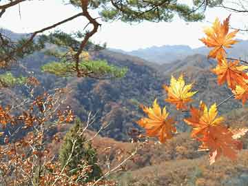 俄多个住宅楼被无人机击中，现场惊心动魄，引发国际关注